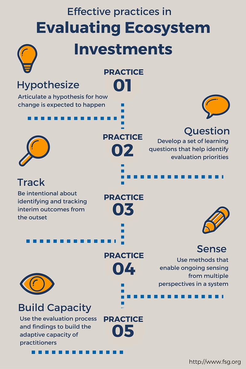 Evaluating Ecosystem Investments FSG